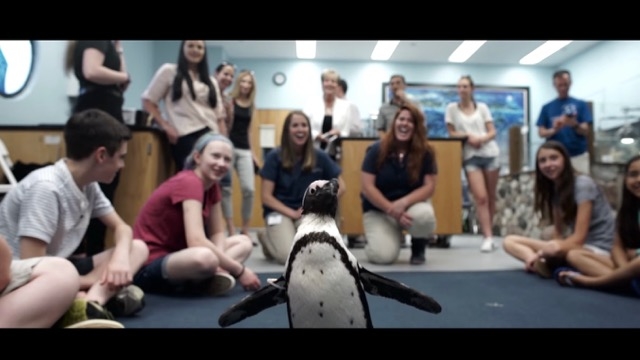 160721penguin3d - 1.jpg